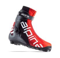 Alpina Ski boots E30 SK Junior
