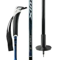 Swix Dynamic D2 Junior Alu poles